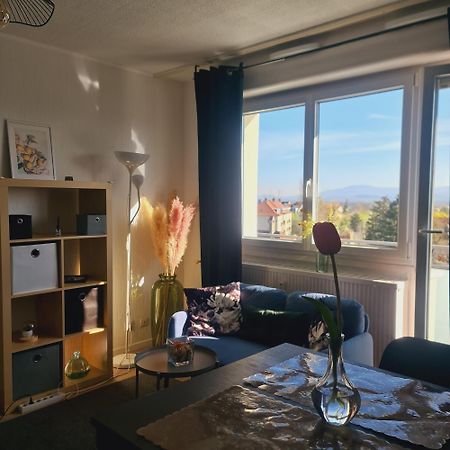 Studio Kaan Avec Terasse 5Mn Basel Airport Сен-Луи Экстерьер фото