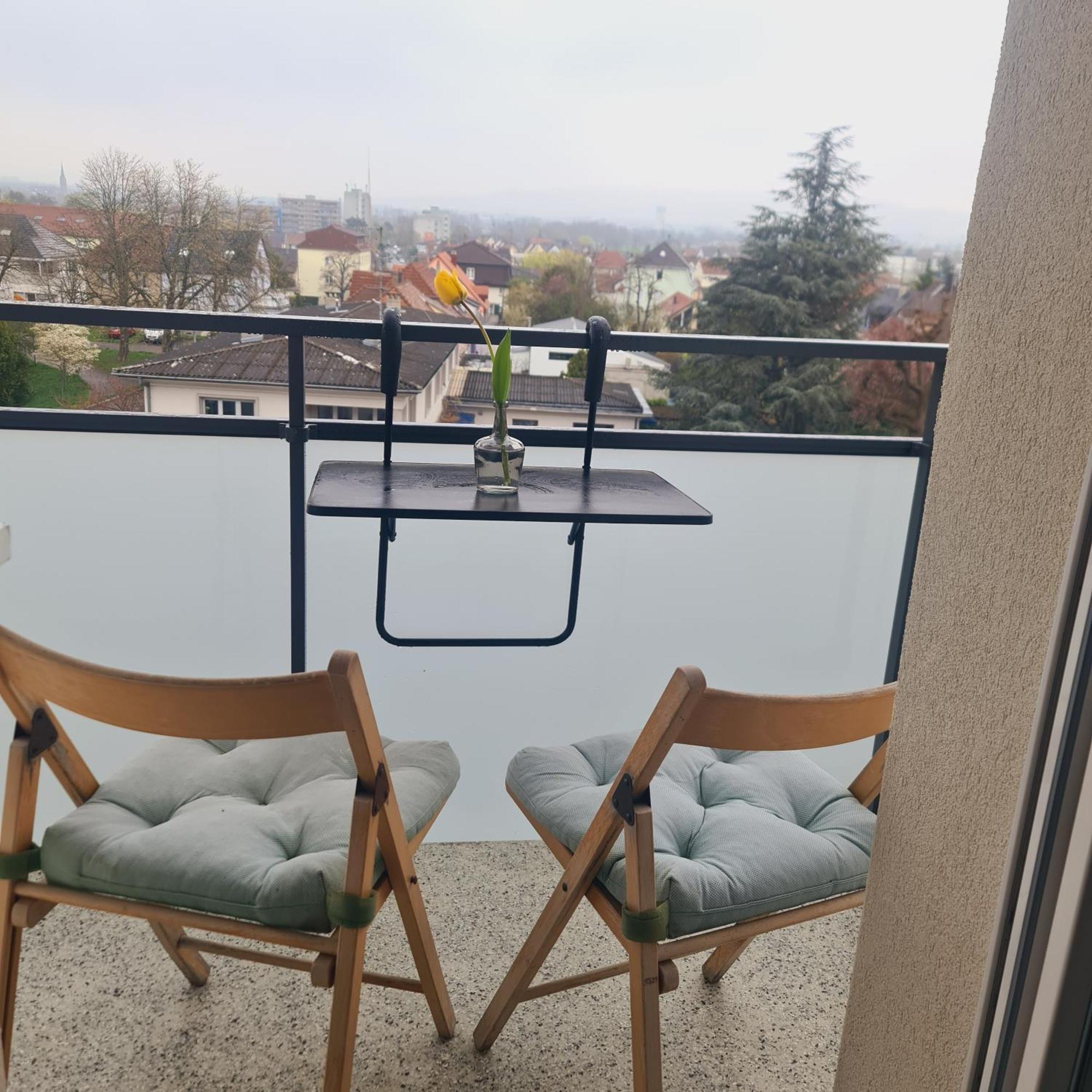 Studio Kaan Avec Terasse 5Mn Basel Airport Сен-Луи Экстерьер фото