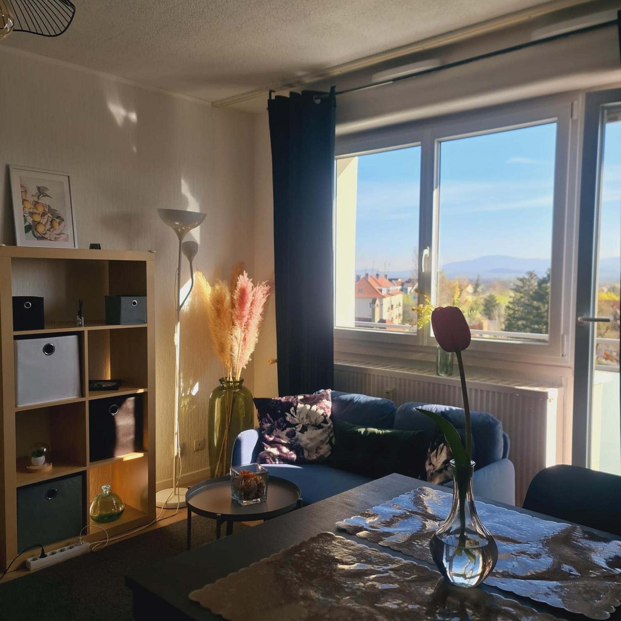 Studio Kaan Avec Terasse 5Mn Basel Airport Сен-Луи Экстерьер фото